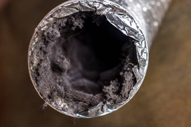 Best Local Air Duct Cleaning Services  in South Coatesville, PA